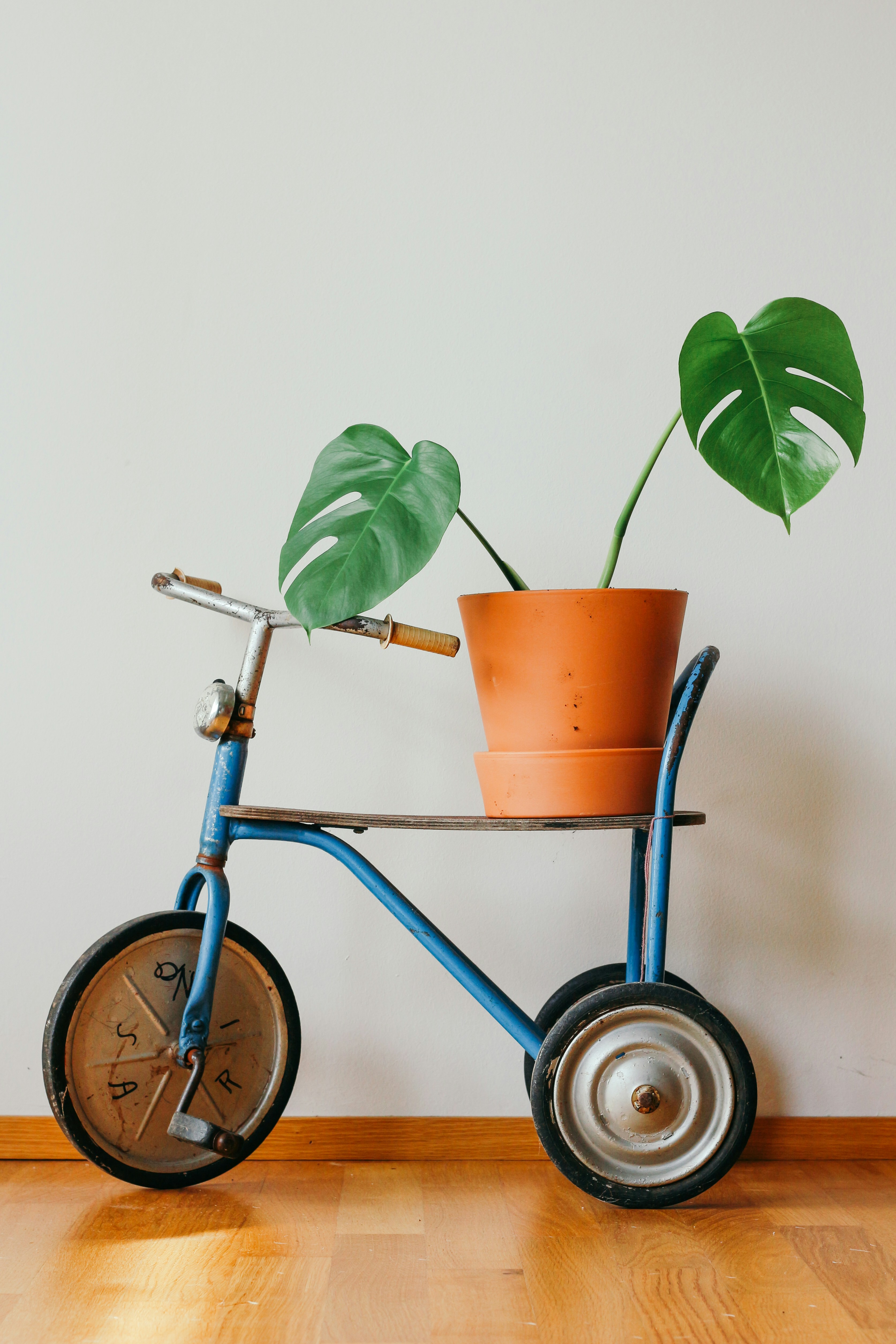 A safely packed No Empty Pots plant